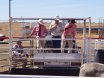 Richmond Field Days 2017