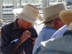 2016 National Droughtmaster Sale