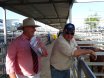 2016 National Droughtmaster Sale