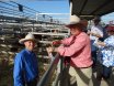 2016 National Droughtmaster Sale