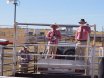 Richmond Field Days 2017