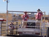 Richmond Field Days 2017
