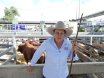 2016 National Droughtmaster Sale
