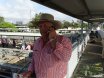 2016 National Droughtmaster Sale