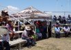 Bowen Cattle Sale and Field Day