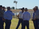 Richmond Field Days 2017