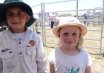 Bowen Cattle Sale and Field Day