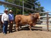 Big Country Sale Tops At $94,000