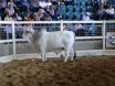 Big Country Sale Tops At $94,000