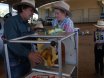 Rockhampton Junior Beef