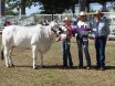 Rockhampton Junior Beef