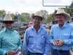Nobbs Family Bull Sale Moura