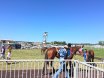 Townsville Cup