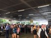 Townsville Cup