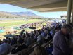 Townsville Cup