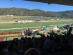 Townsville Cup