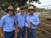 BEEF BULL SALE CLERMONT