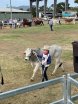 Wilangi Kids @ Junior Beef 2018