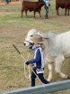 Wilangi Kids @ Junior Beef 2018