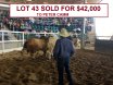 Big Country Sale Tops At $94,000