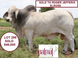 Big Country Sale Tops At $94,000
