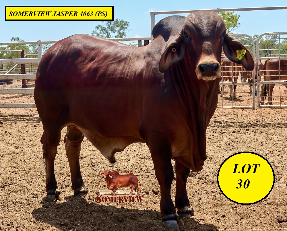 Lot 30