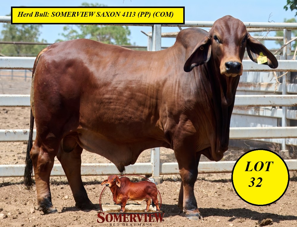 Lot 32