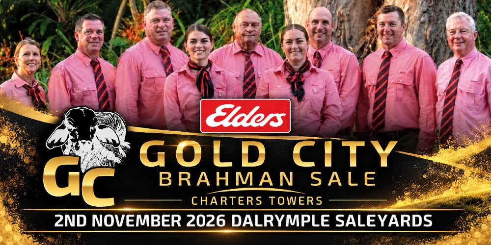 Gold City Brahman Sale LPO90