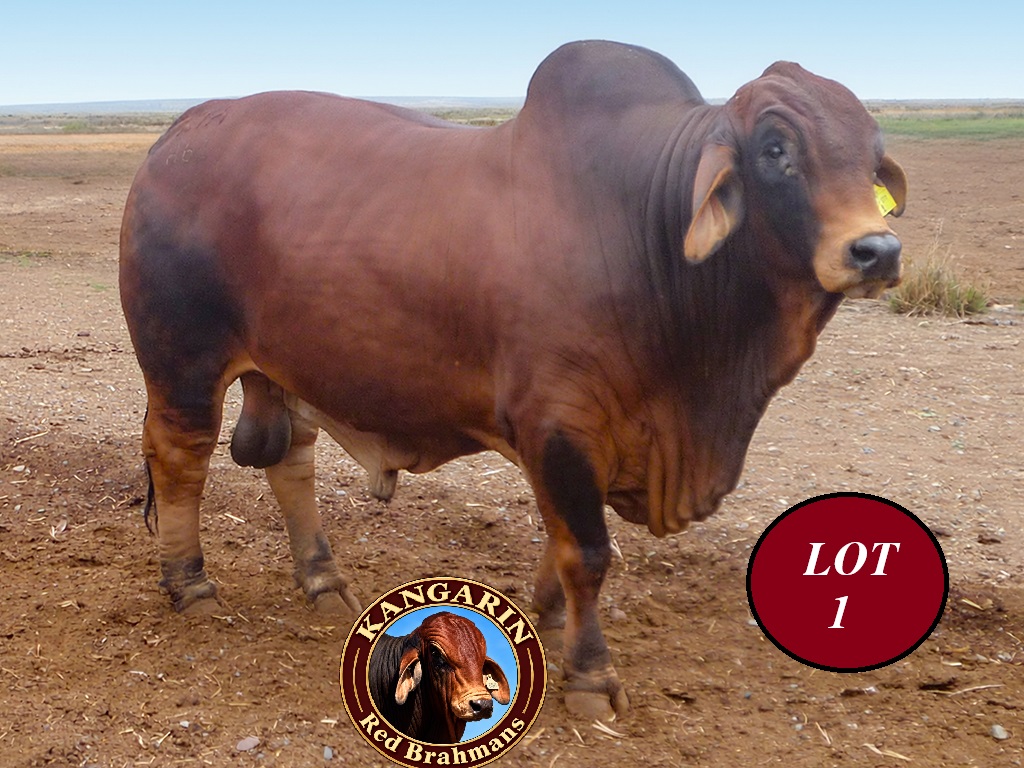 LOT 1