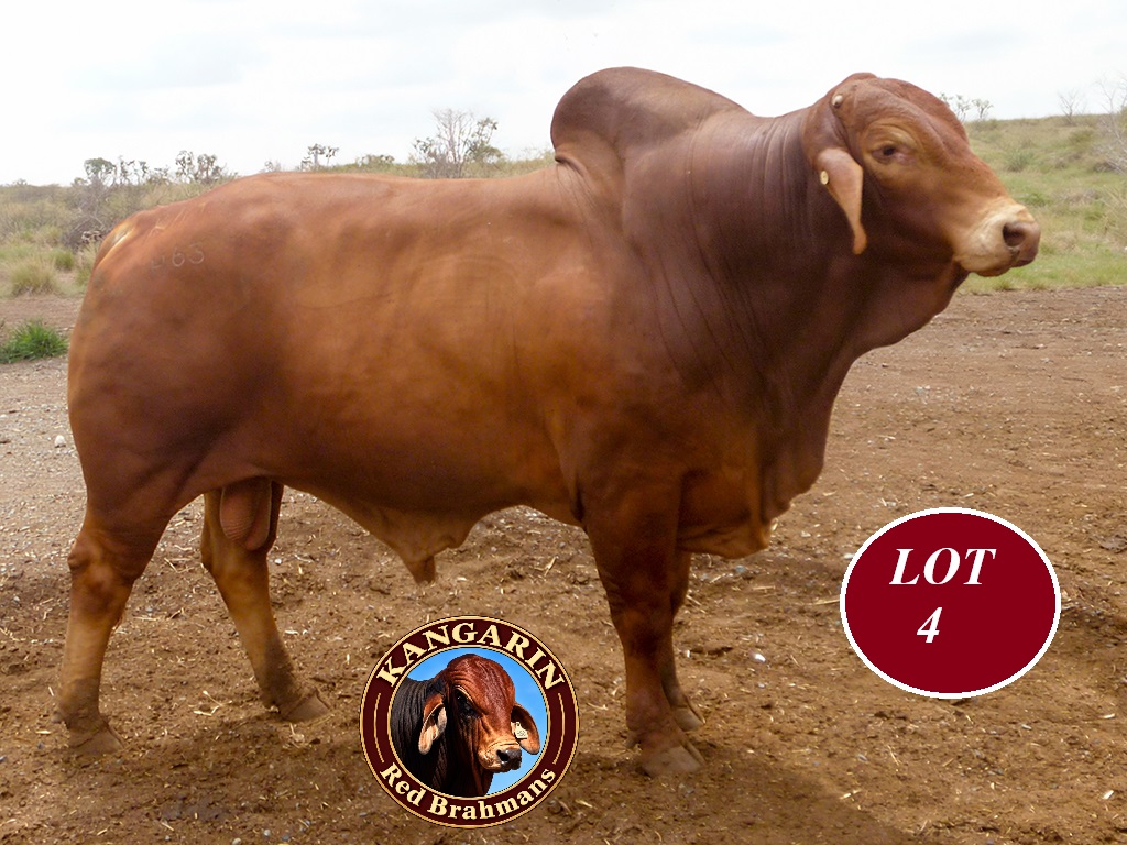 LOT 4
