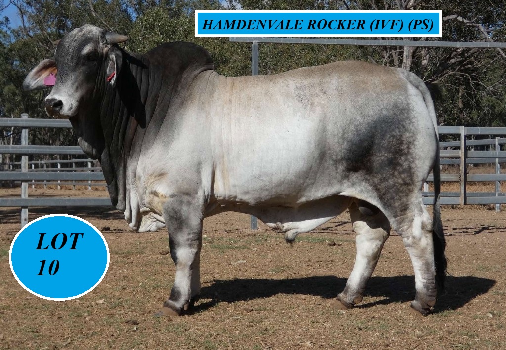 LOT 10