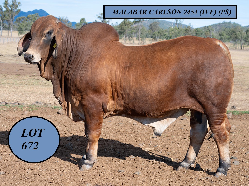 LOT 672