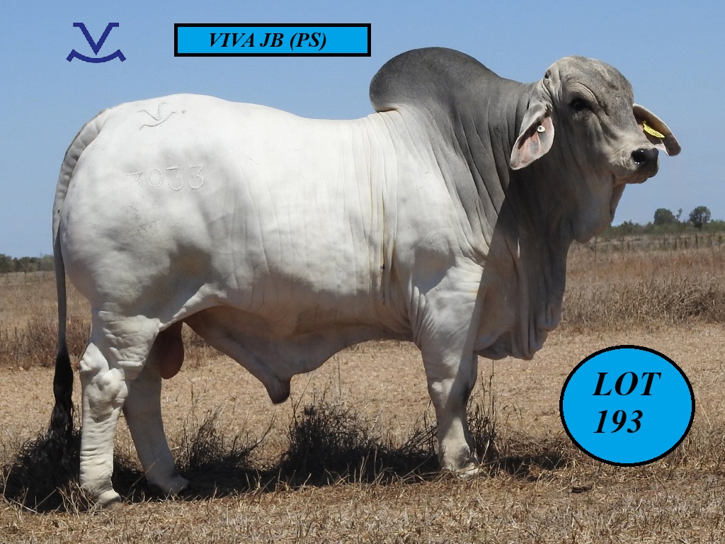 LOT 0193