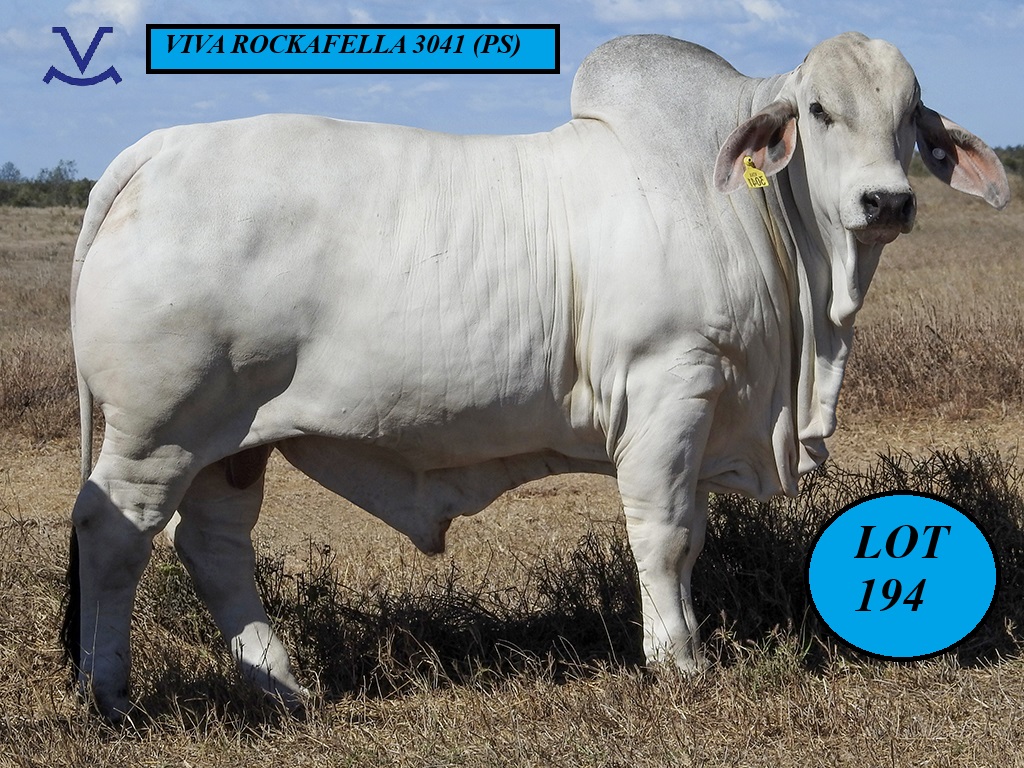 LOT 0194
