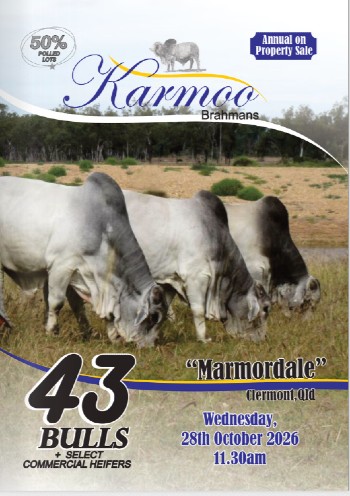 kat karmoo