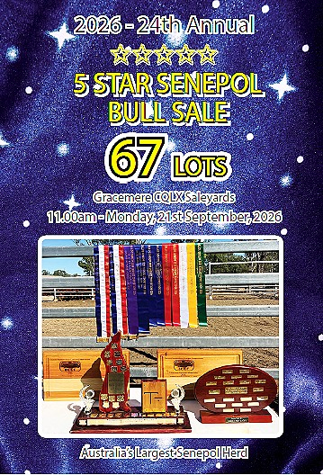 senpol cata2026