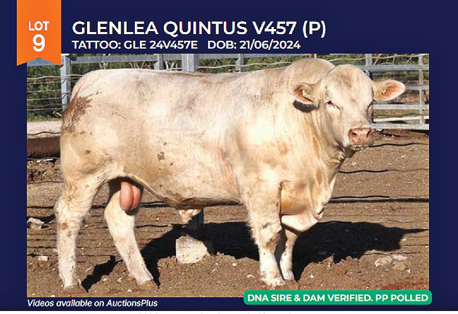 LOT9