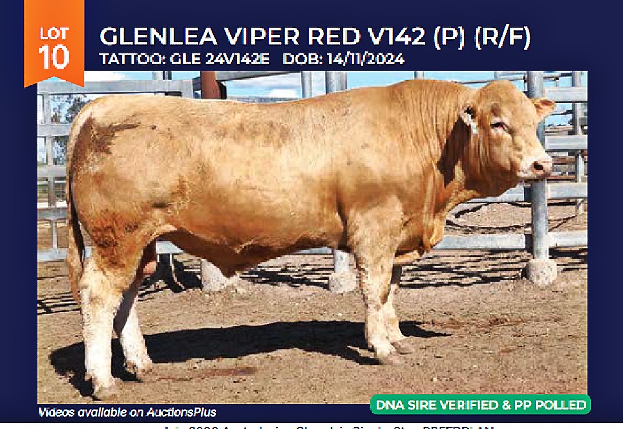 LOT 10