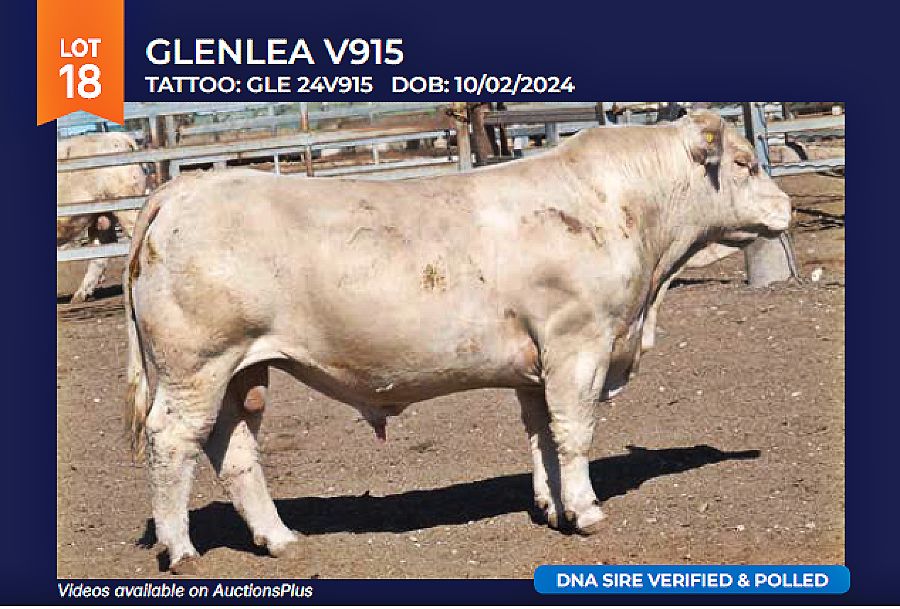 LOT 18