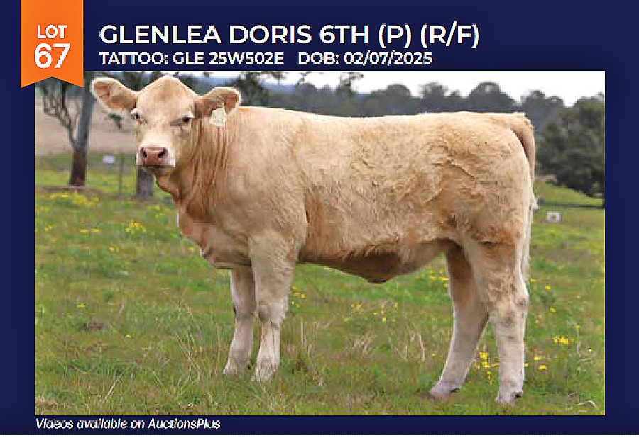 LOT 67