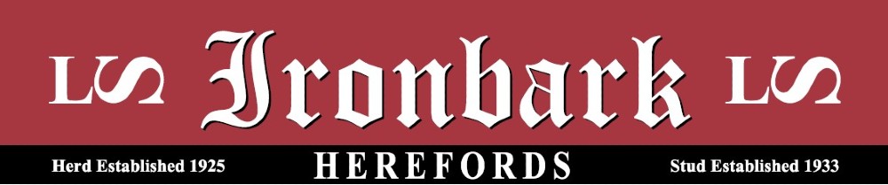 LOGO IRONNBARK 2026 1