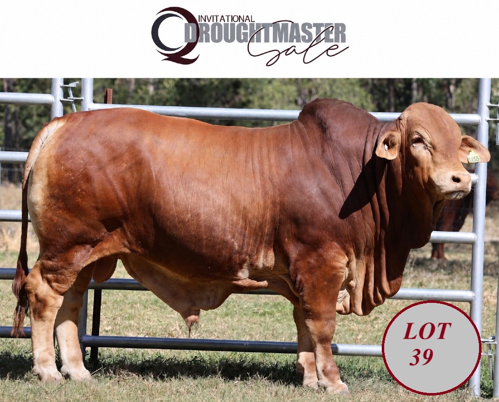 LOT 39xxx