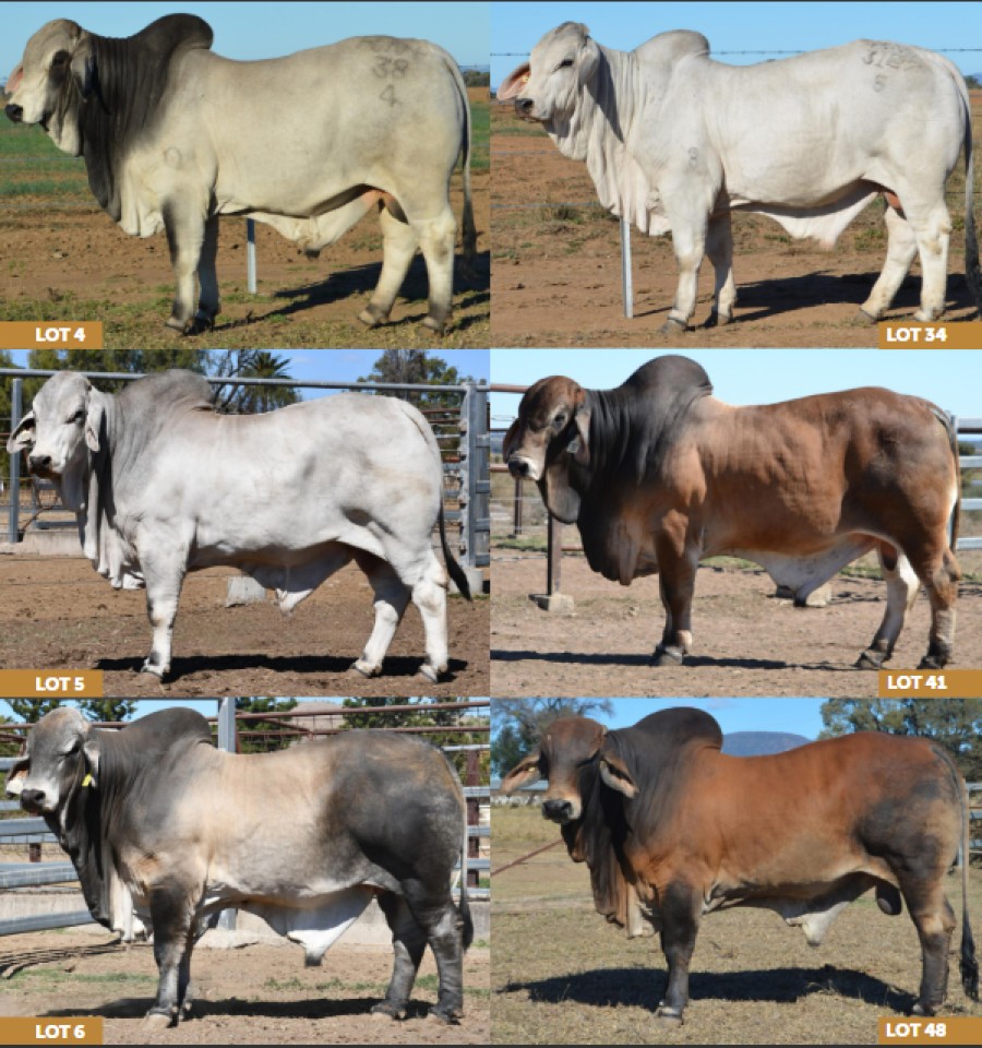 file 1
