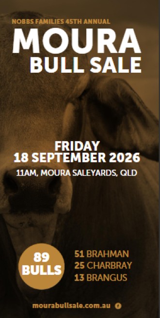moura catalogue