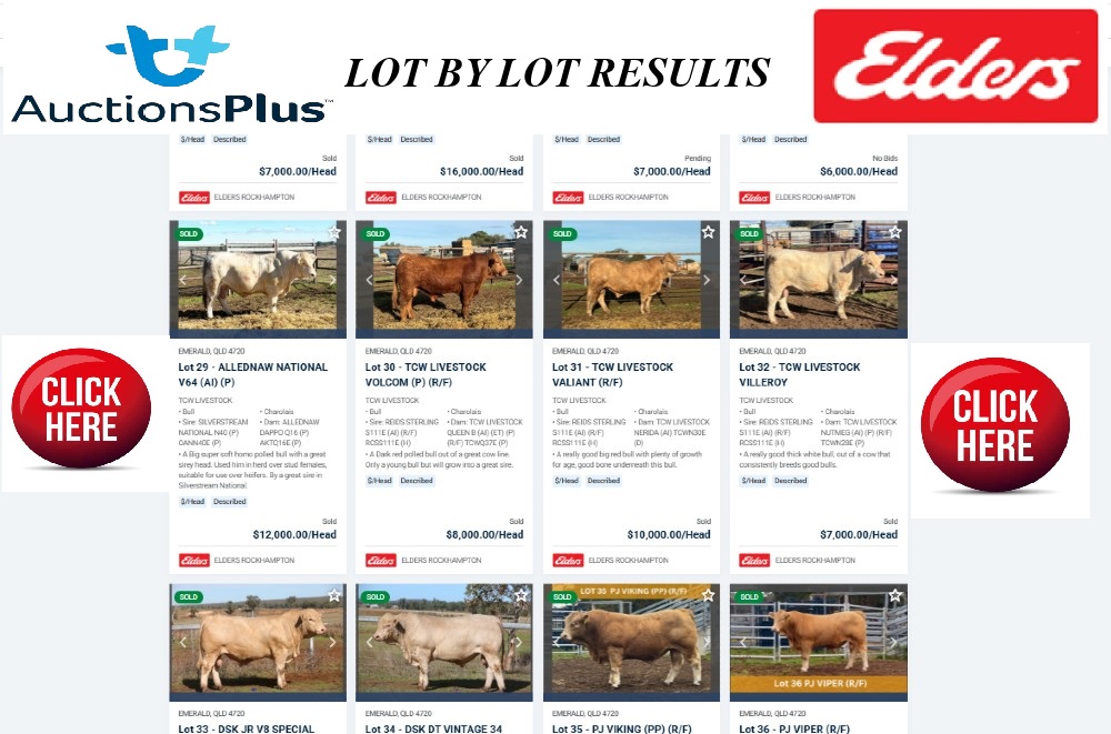 agrow auction