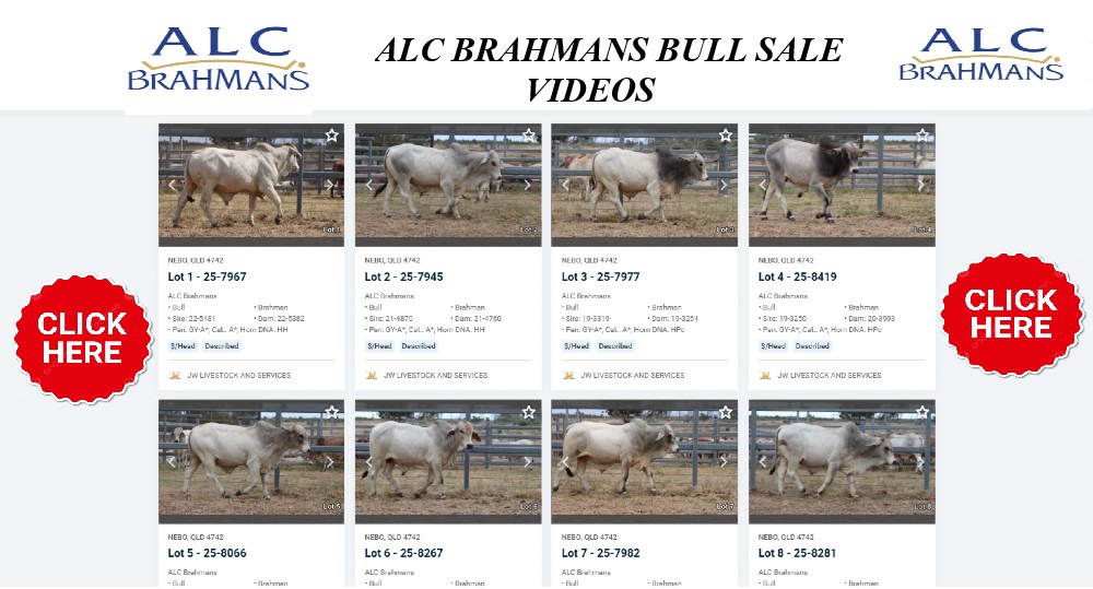 videos alc