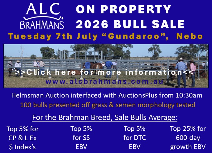 MDM Bull Sale Notice with Sale Bull Stats with yards photo
