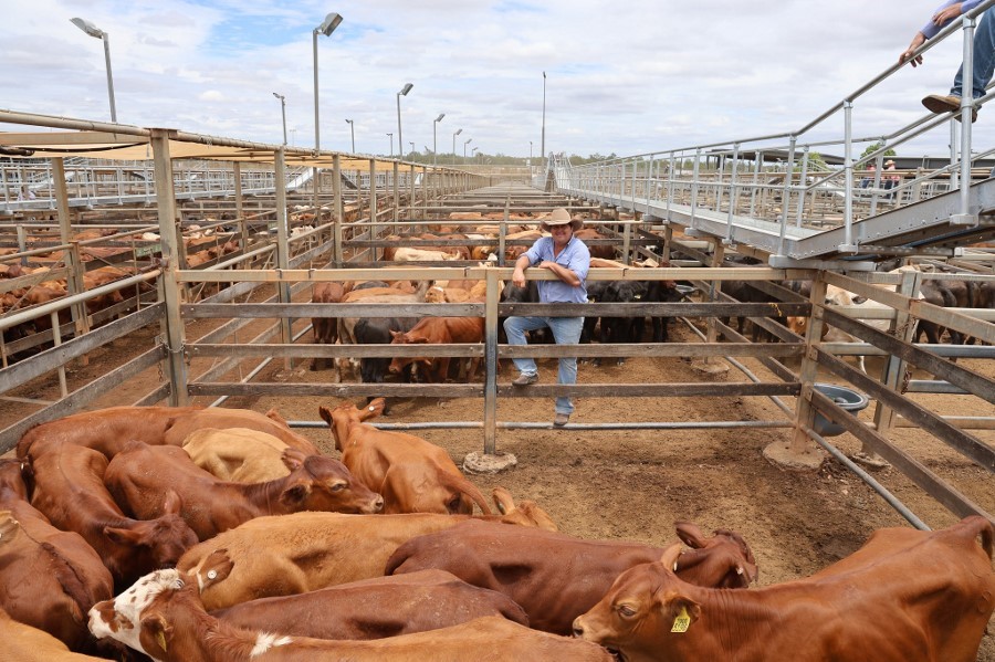 615425698 853912404283377 4308876847375738472 n