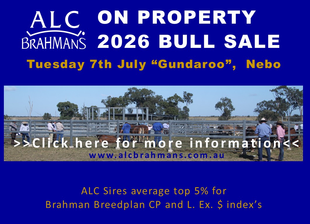 MDM Bull Sale Notice with Sire stats use this until get sale bull stats