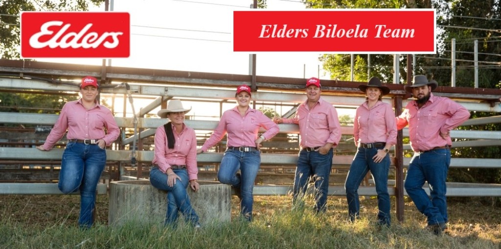 Elders Biloela Jim Pola Digital Marketing